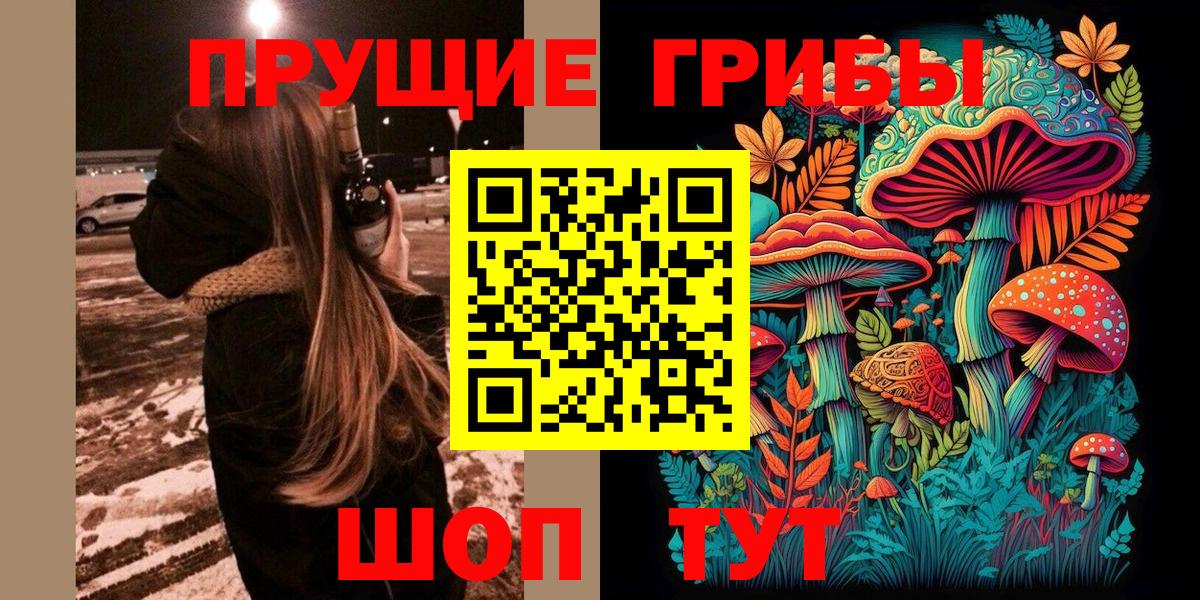 Свободный  Галлюциногенные грибы Psilocybine cubensis  Вход с VPN 