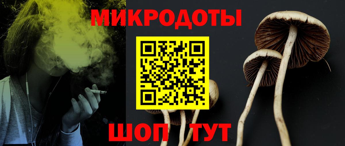 Галлюциногенные грибы MAGIC MUSHROOMS Свободный